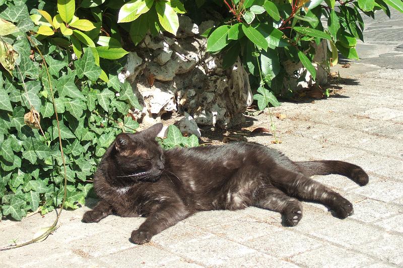 2011-05- (1605).JPG
